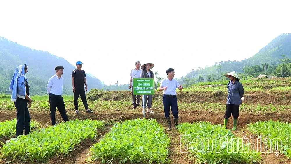 Để tấc đất hóa “tấc vàng” giữa đại ngàn Đèo Mương 2