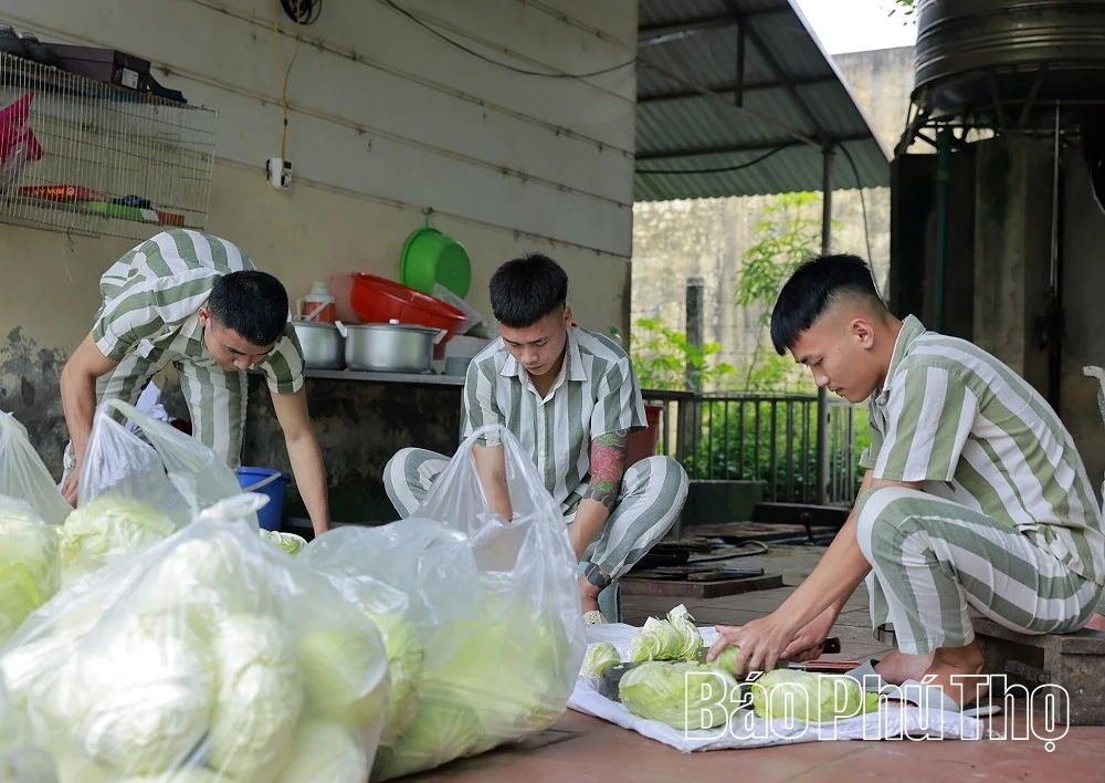 Tìm lại “đường về”