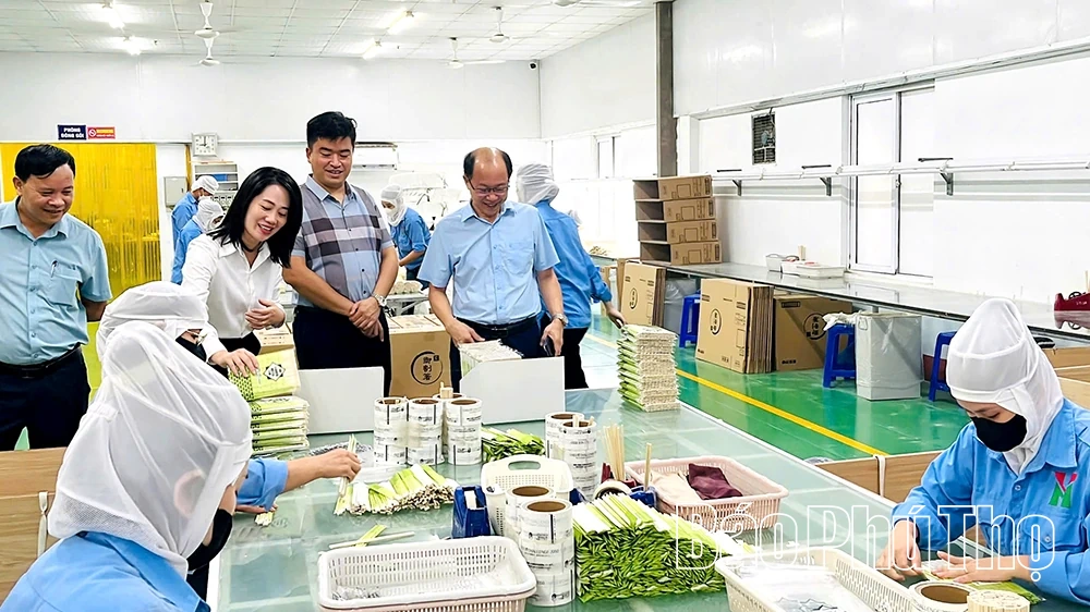Lực đẩy phong trào nông dân sản xuất kinh doanh giỏi ở Hy Cương