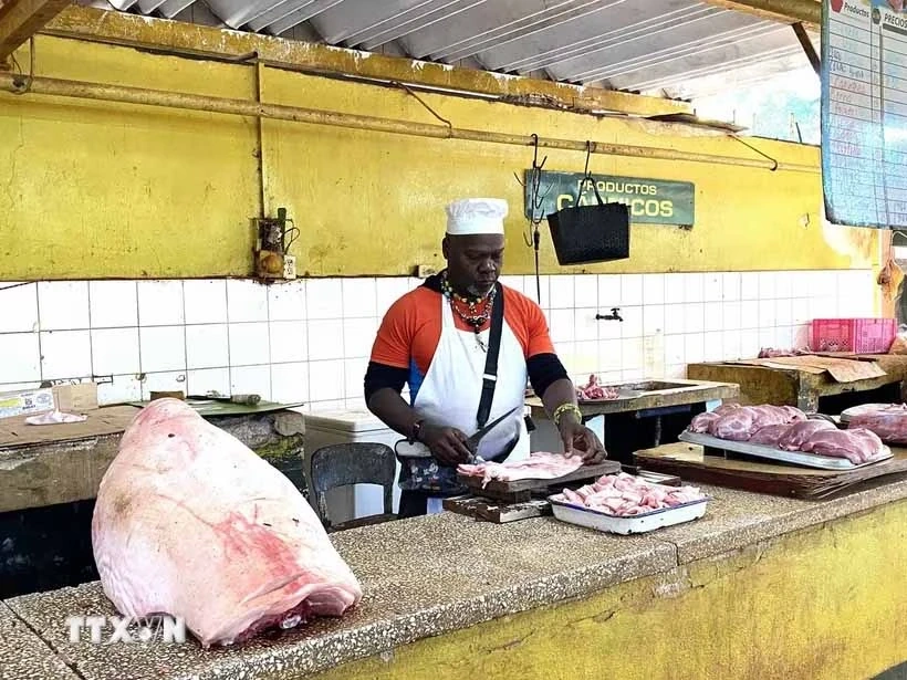 Nhiều nước và tổ chức quốc tế tiếp tục triển khai các hoạt động ủng hộ Cuba