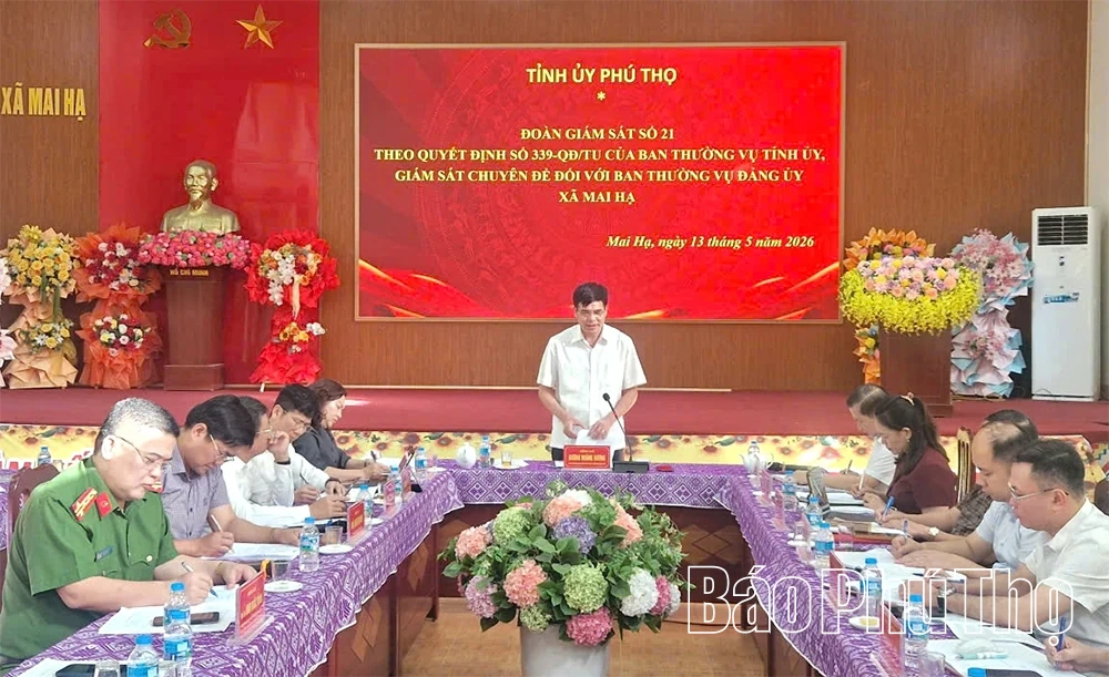 Đoàn giám sát số 21 đề nghị Mai Hạ khắc phục khó khăn trong vận hành chính quyền địa phương 2 cấp