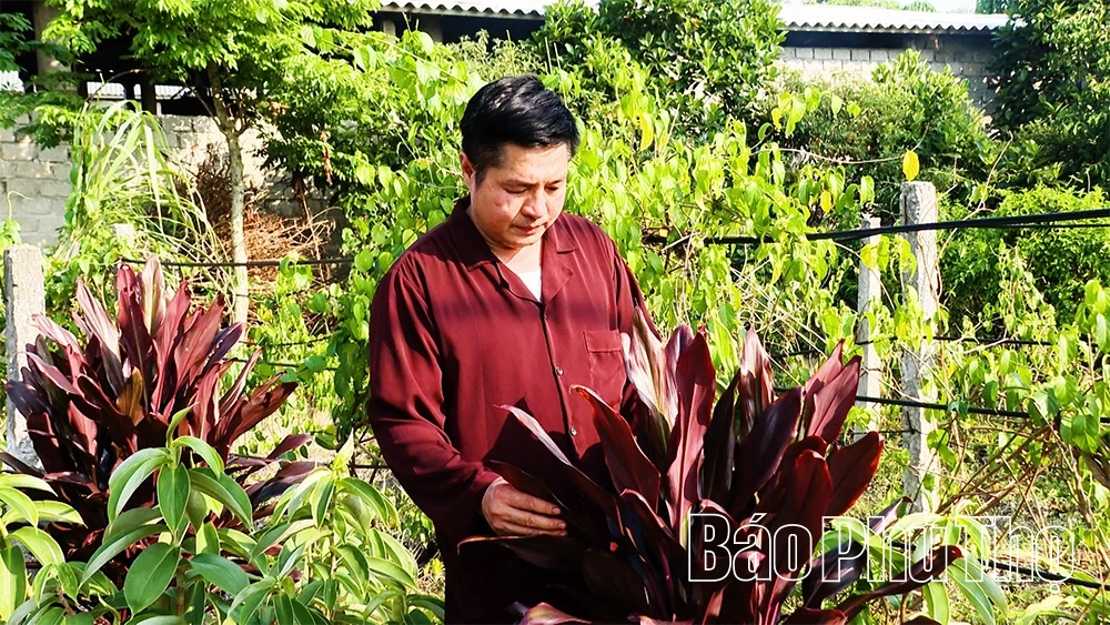 Giữ gìn tri thức y học dân gian của người Sán Dìu