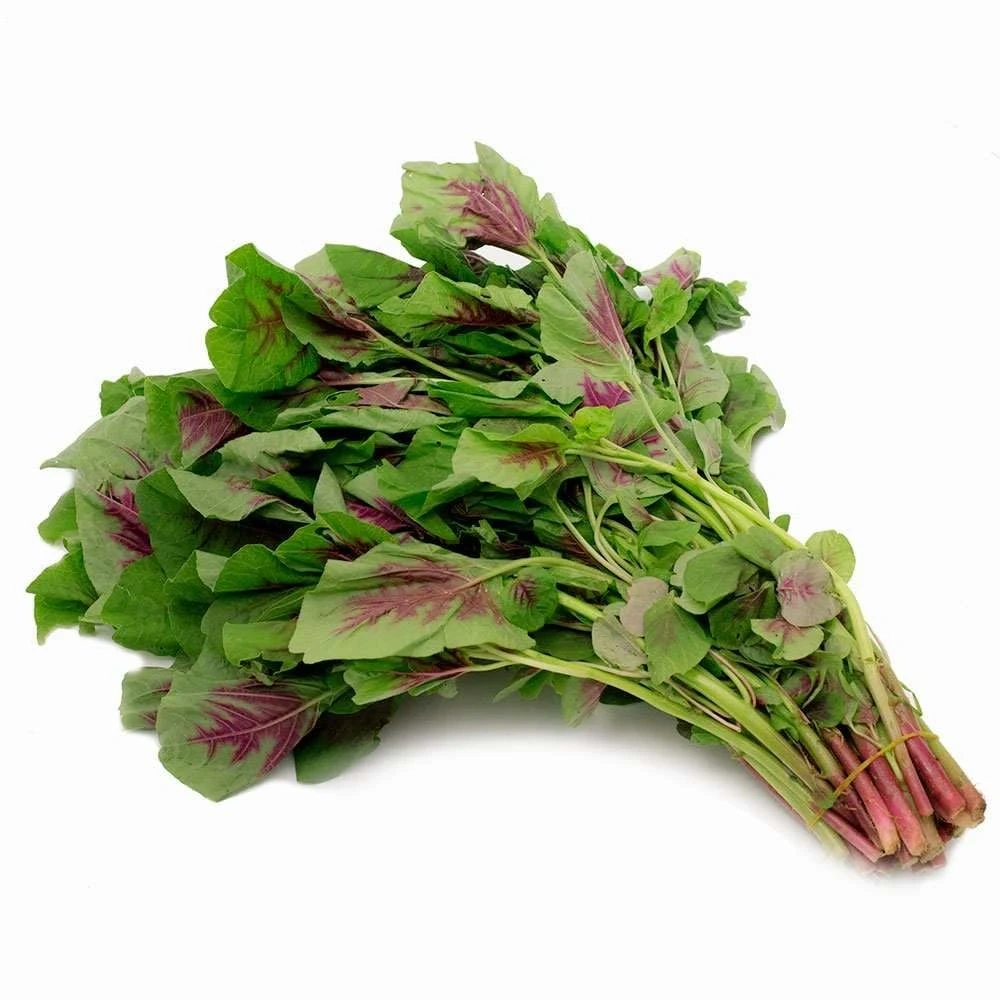 Giá cả thị trường ngày 16/5/2026