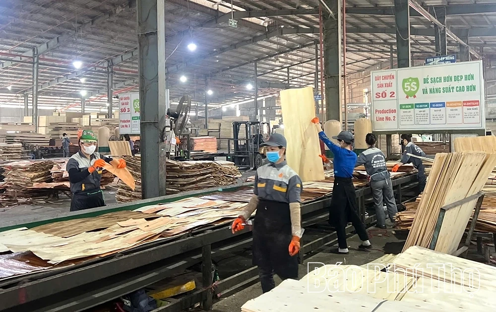 Hạ Hòa tăng cường đảm bảo an toàn lao động trong sản xuất