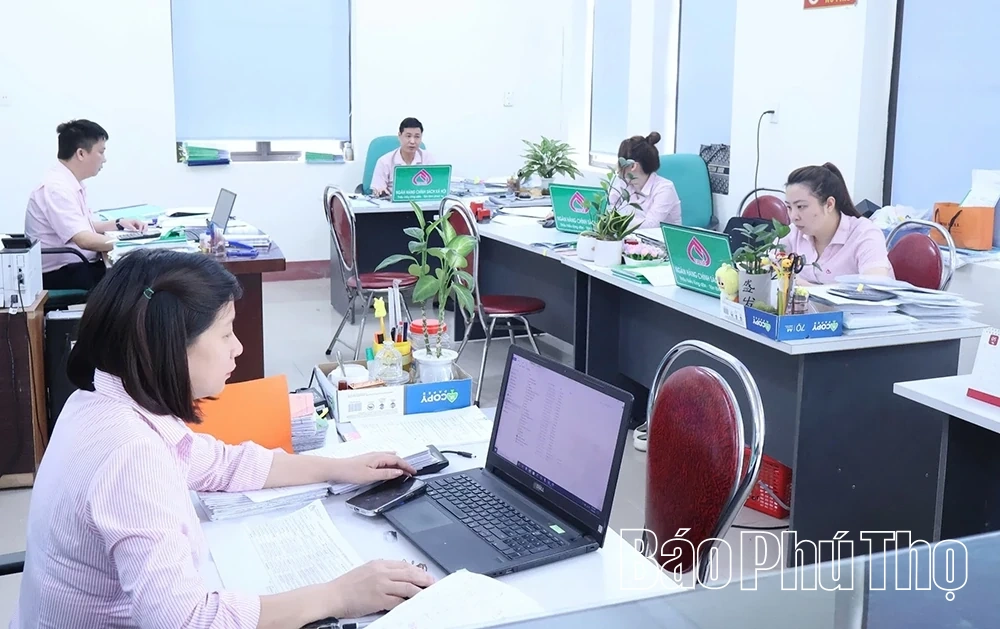 Hỗ trợ người sau cai nghiện hoàn lương