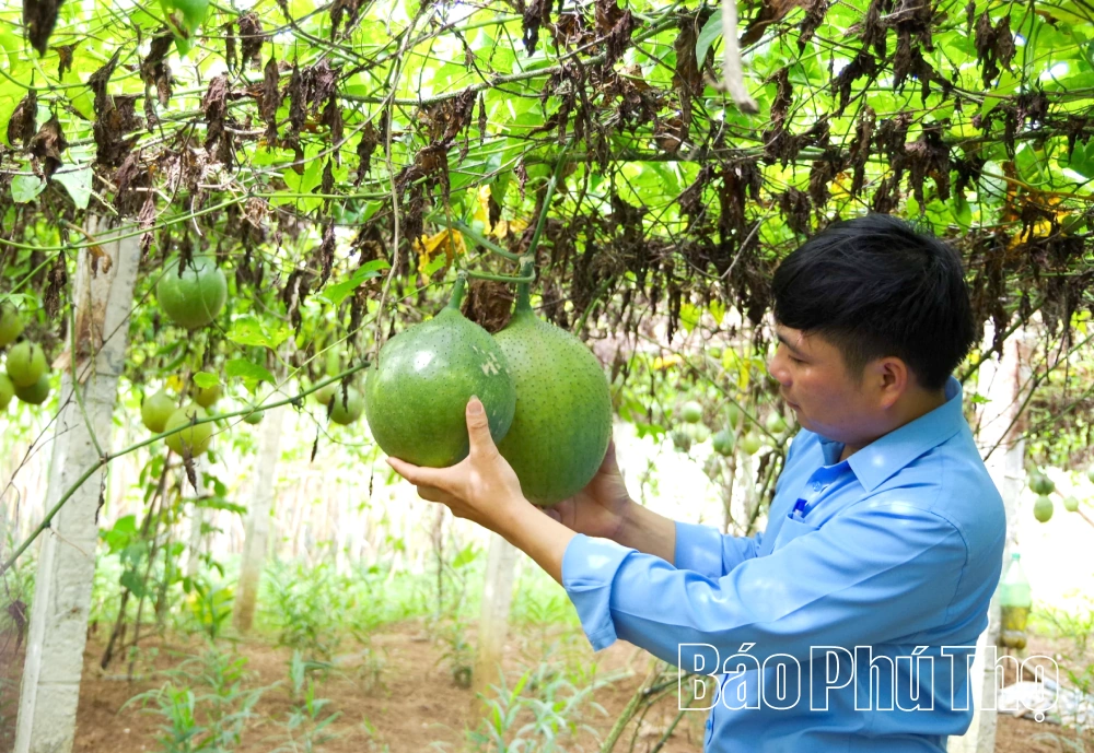 Hiệu quả Chương trình mục tiêu quốc gia giảm nghèo bền vững ở Mường Thàng