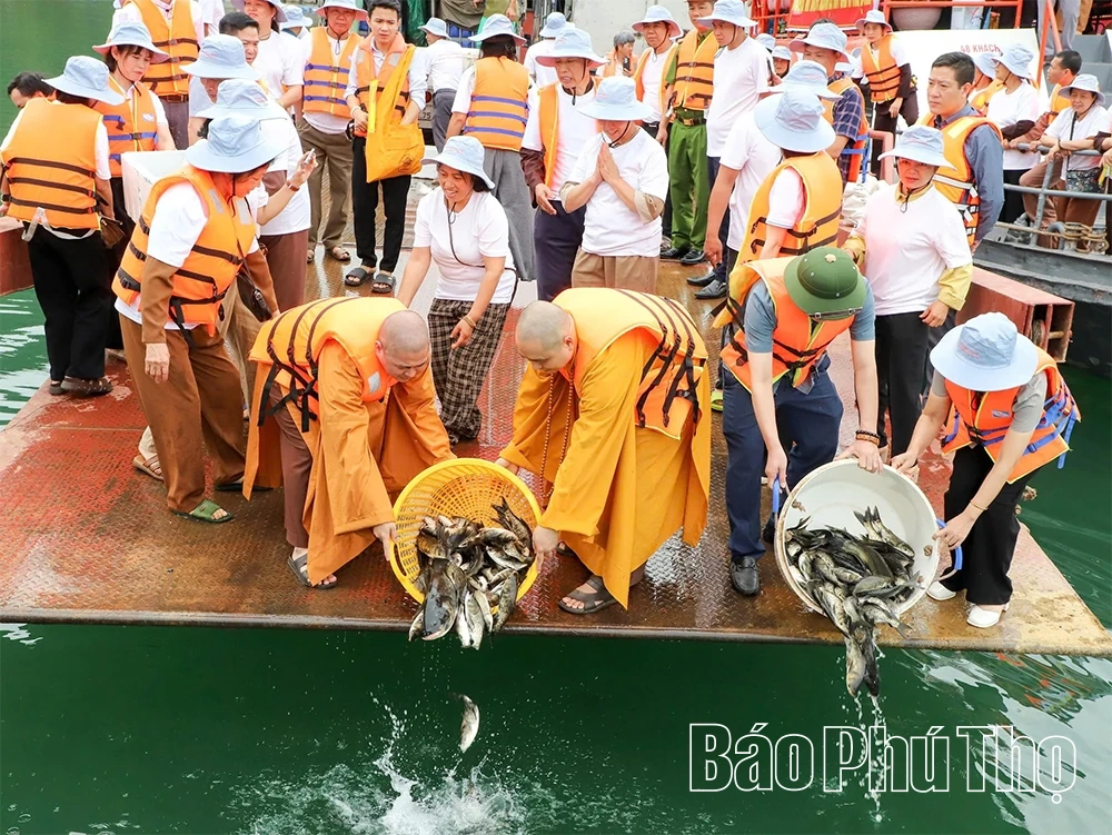 Gieo mầm sống xuống dòng Đà Giang