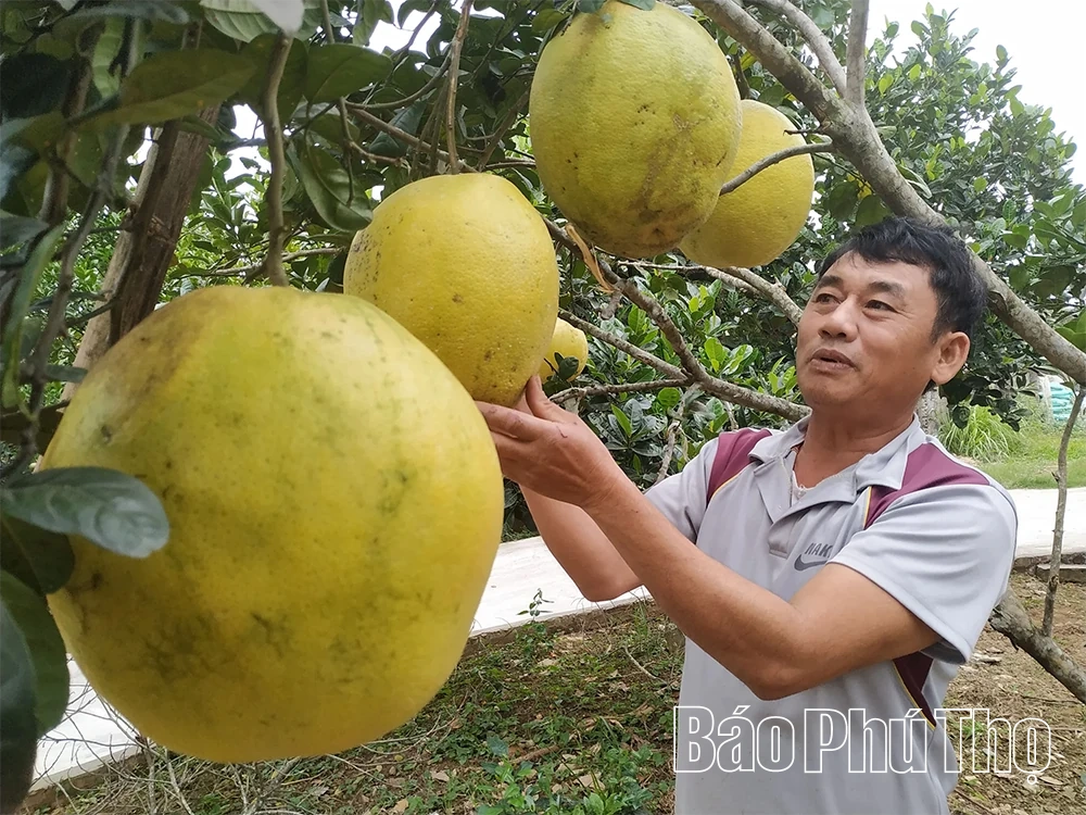 Chuyển đổi sản xuất để gia tăng giá trị nông sản