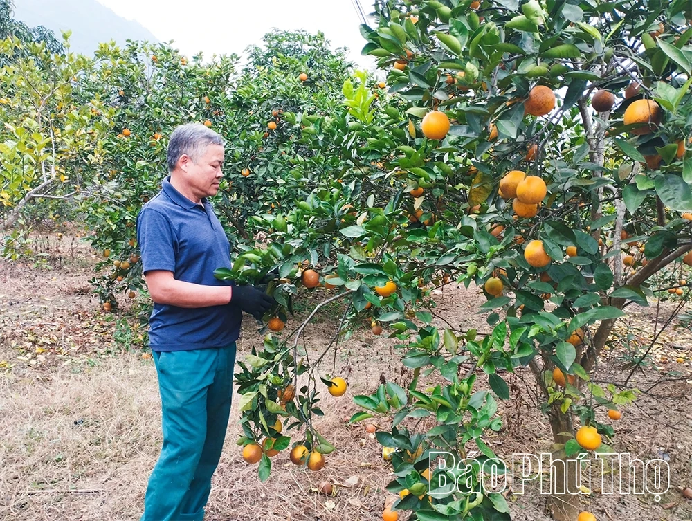 Chuyển đổi sản xuất để gia tăng giá trị nông sản