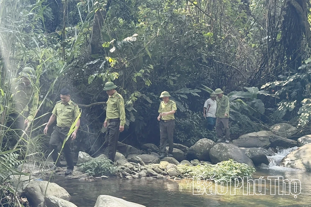Giữ màu xanh Tam Đảo trước nguy cơ cháy rừng mùa nắng nóng