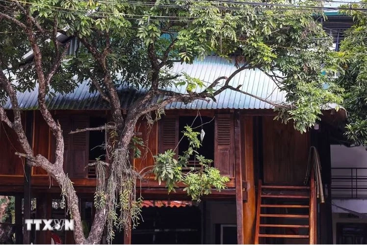 Pom Coong Hamlet: A Peaceful Sanctuary in the Heart of Mai Chau Valley