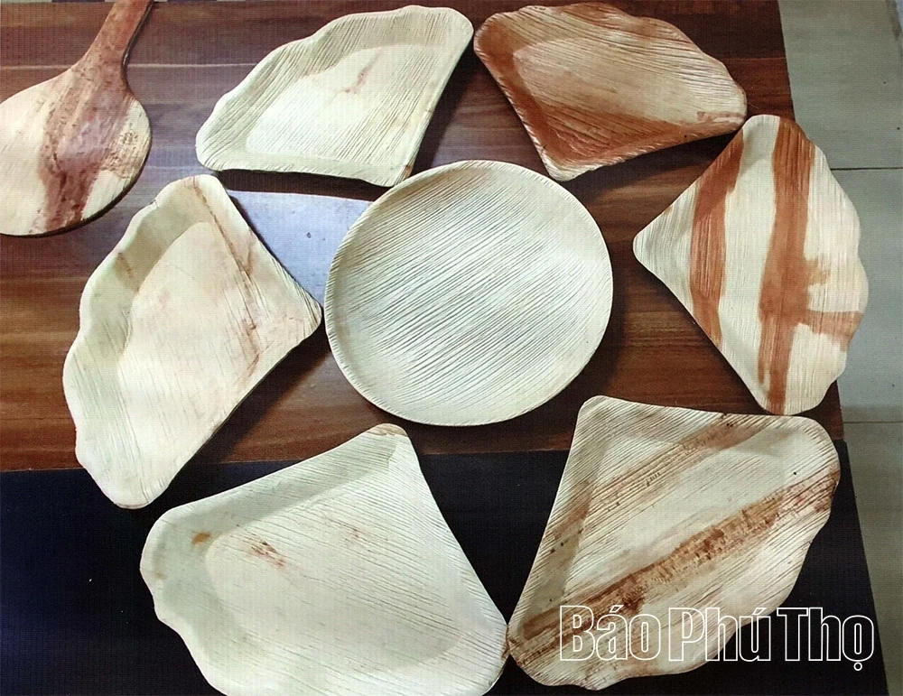Eco-Friendly Products Crafted from Areca Palm Leaf Sheaths