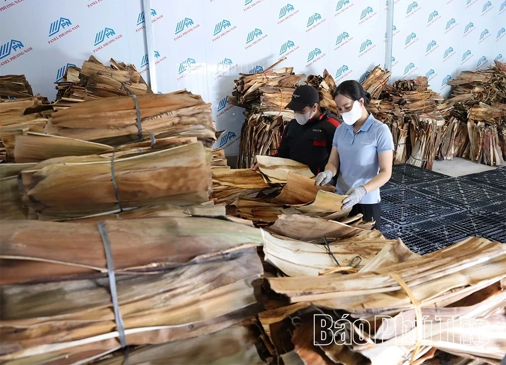 Eco-Friendly Products Crafted from Areca Palm Leaf Sheaths