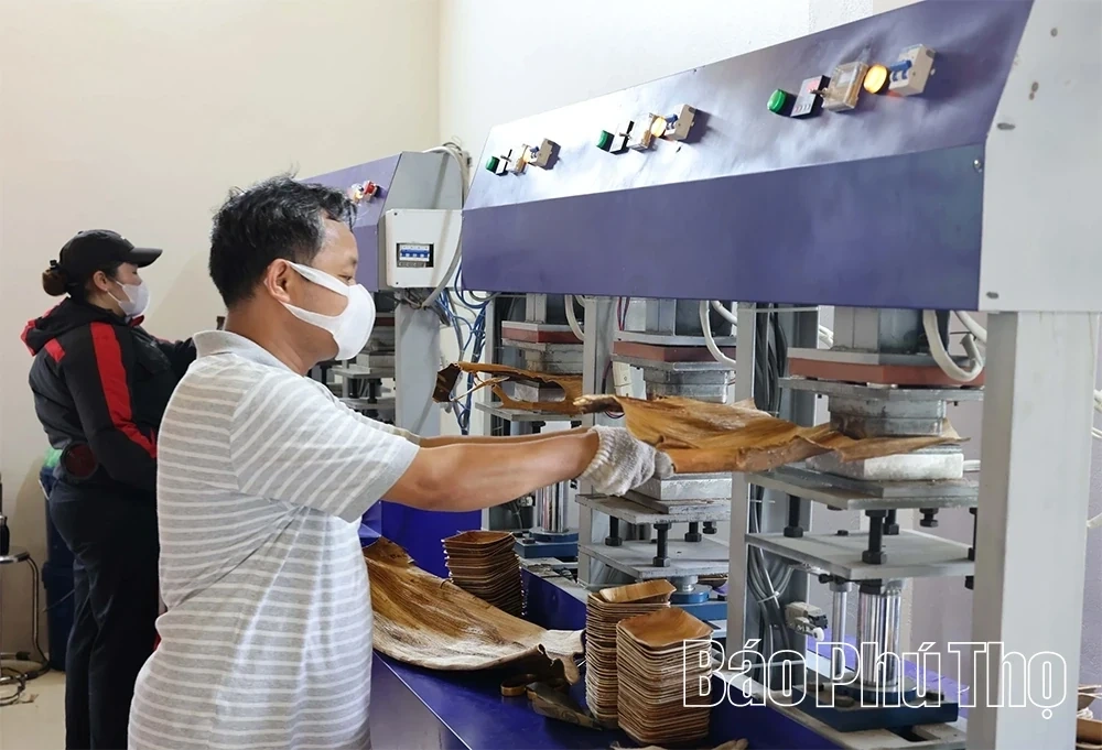 Eco-Friendly Products Crafted from Areca Palm Leaf Sheaths