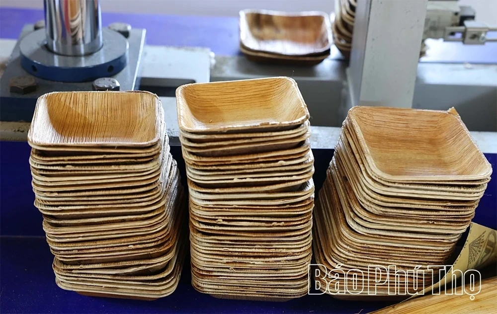 Eco-Friendly Products Crafted from Areca Palm Leaf Sheaths