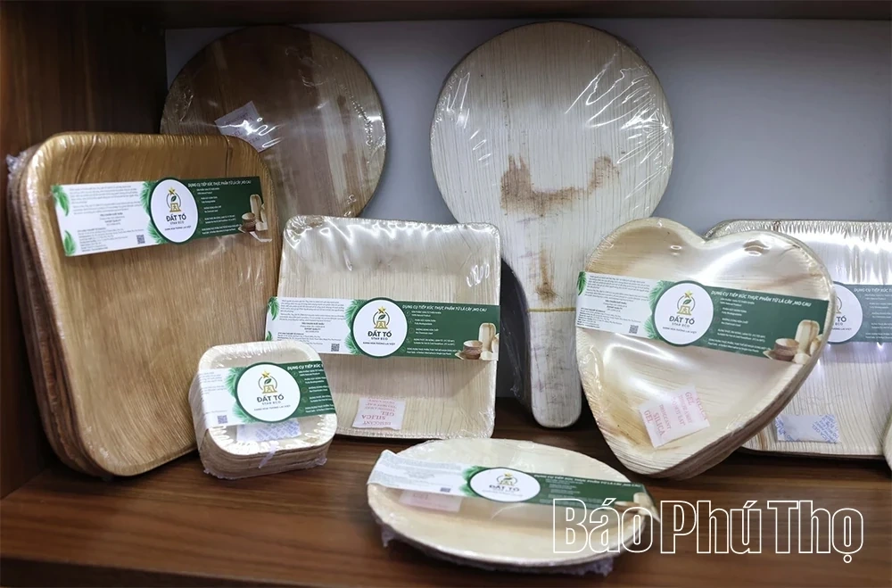 Eco-Friendly Products Crafted from Areca Palm Leaf Sheaths