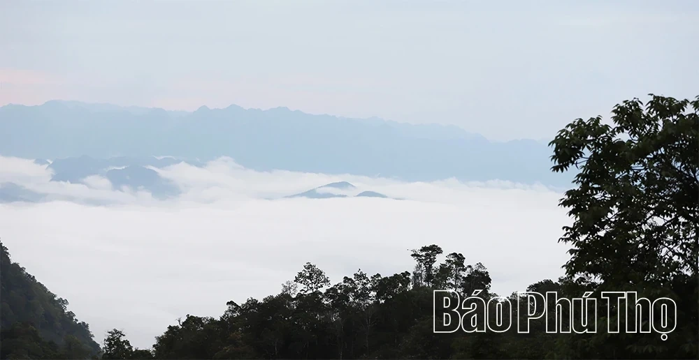The Mystical Allure of Hang Kia