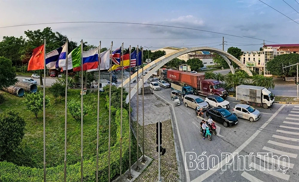 The Dynamic Vibe of Binh Xuyen