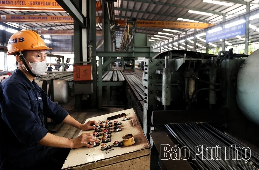 The Dynamic Vibe of Binh Xuyen