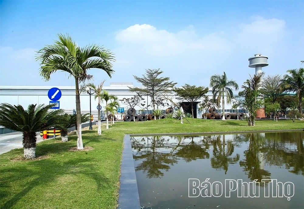 The Dynamic Vibe of Binh Xuyen