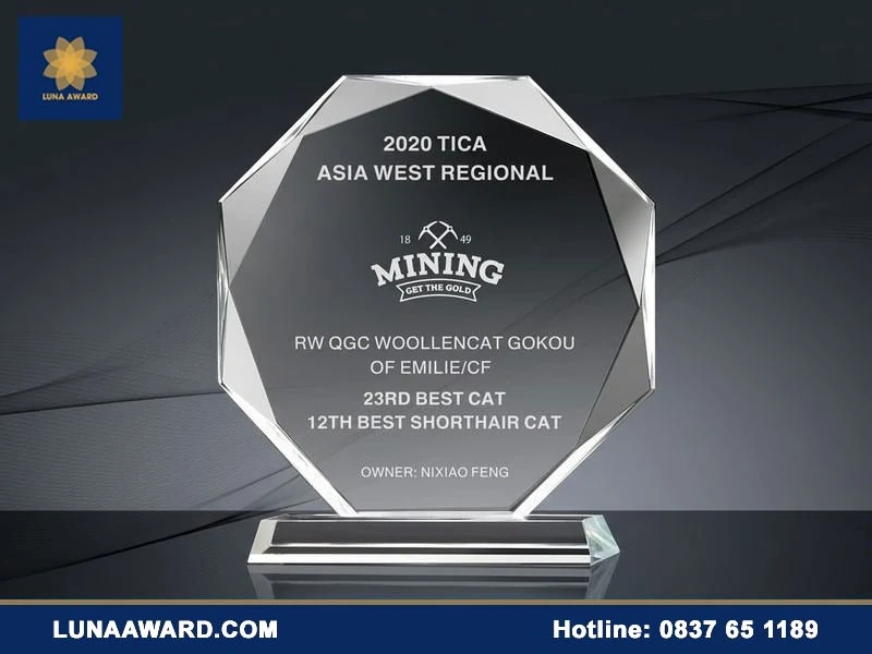 Kỷ niệm chương pha lê Luna Award Vietnam - Nâng tầm giá trị vinh danh