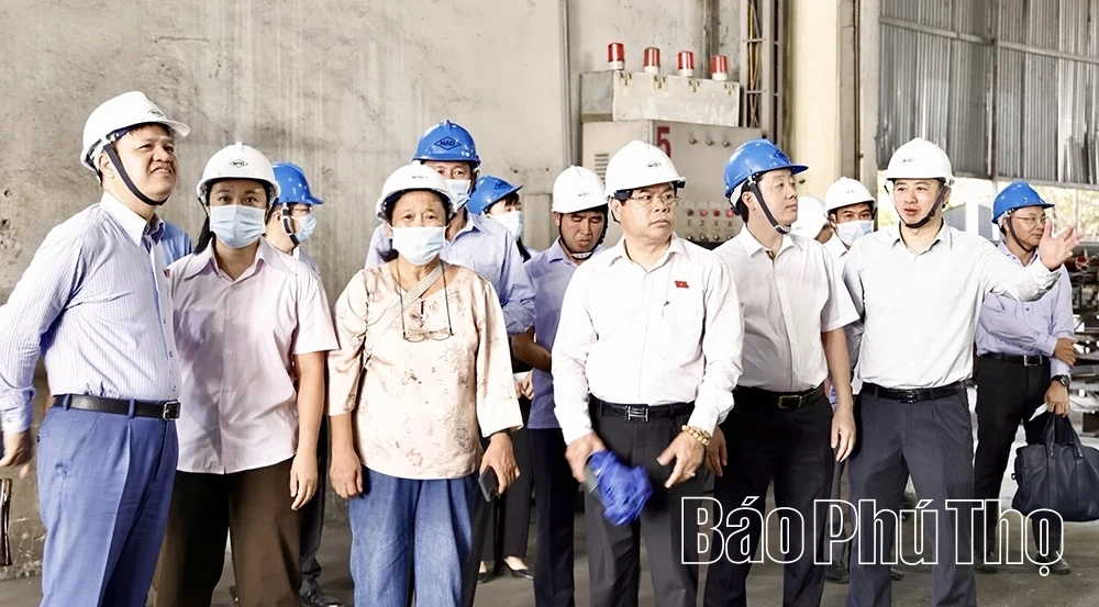 Đoàn công tác Ủy ban Khoa học, Công nghệ và Môi trường của Quốc hội khảo sát tại Khu công nghiệp Bình Xuyên