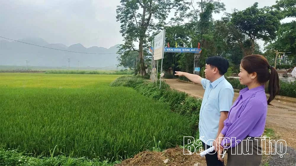Đồng thuận đưa nghị quyết vào cuộc sống