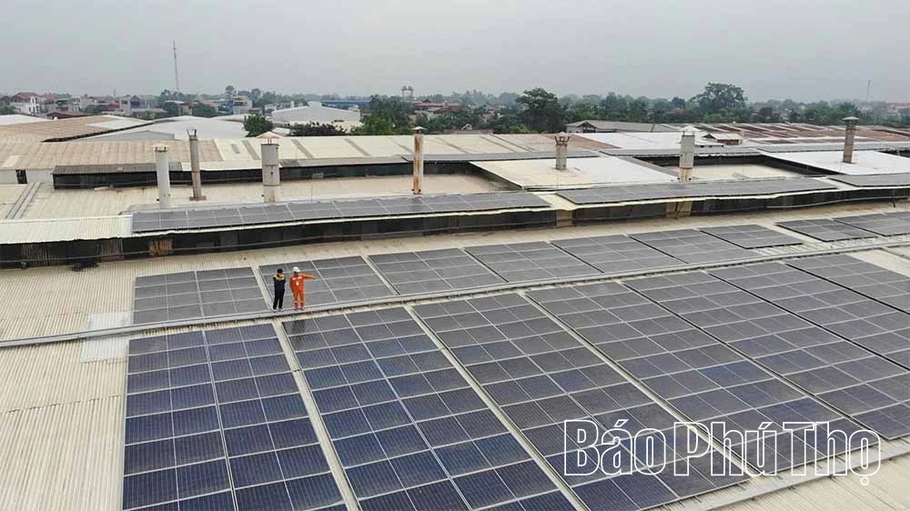 Điện lực Phú An tích cực thúc đẩy phát triển điện mặt trời mái nhà