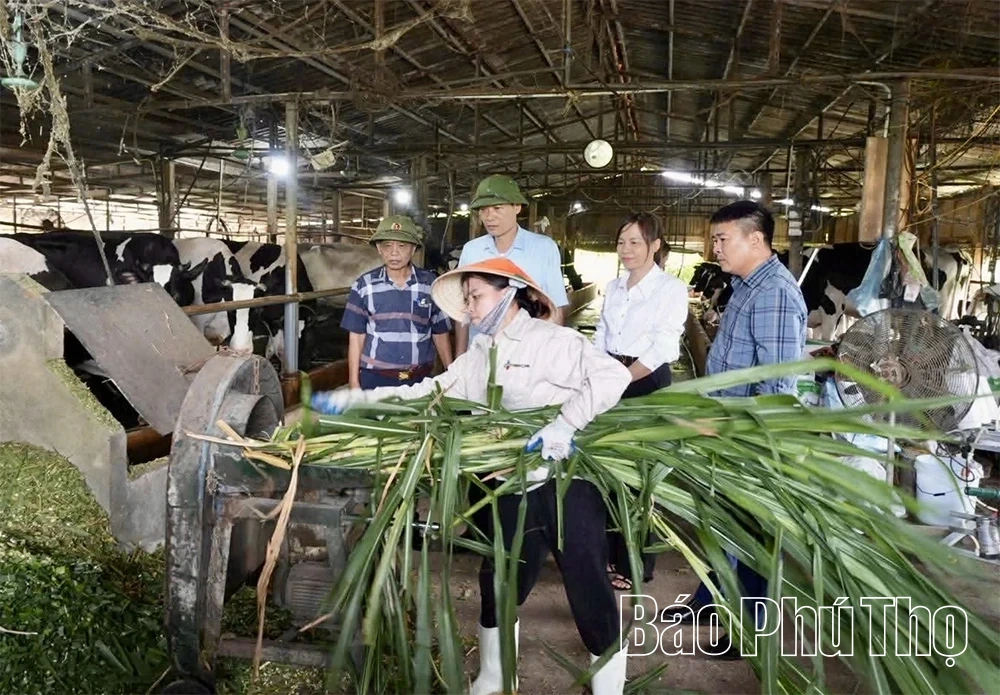 Chủ động thực hiện các biện pháp phòng chống nắng nóng