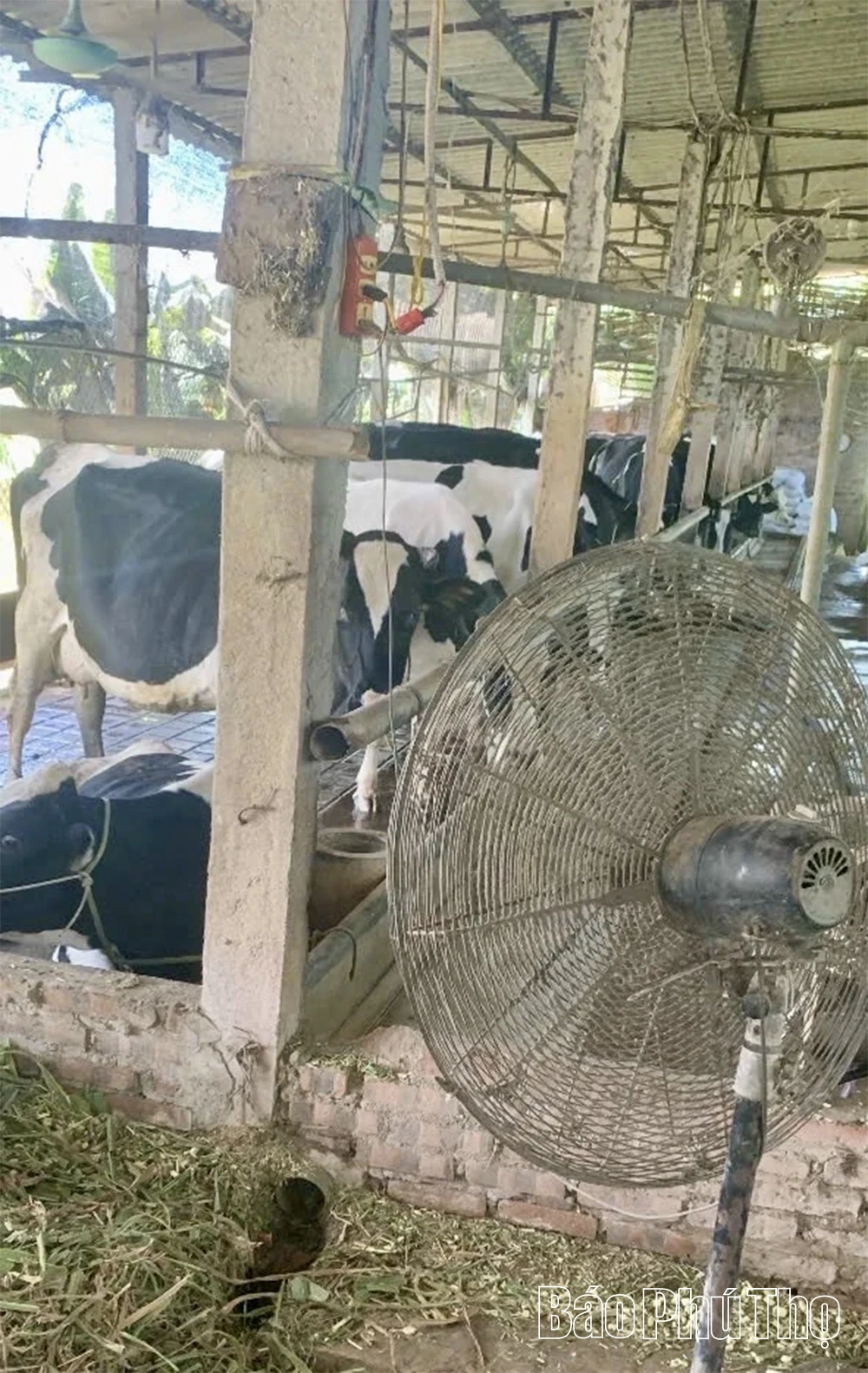Chủ động thực hiện các biện pháp phòng chống nắng nóng