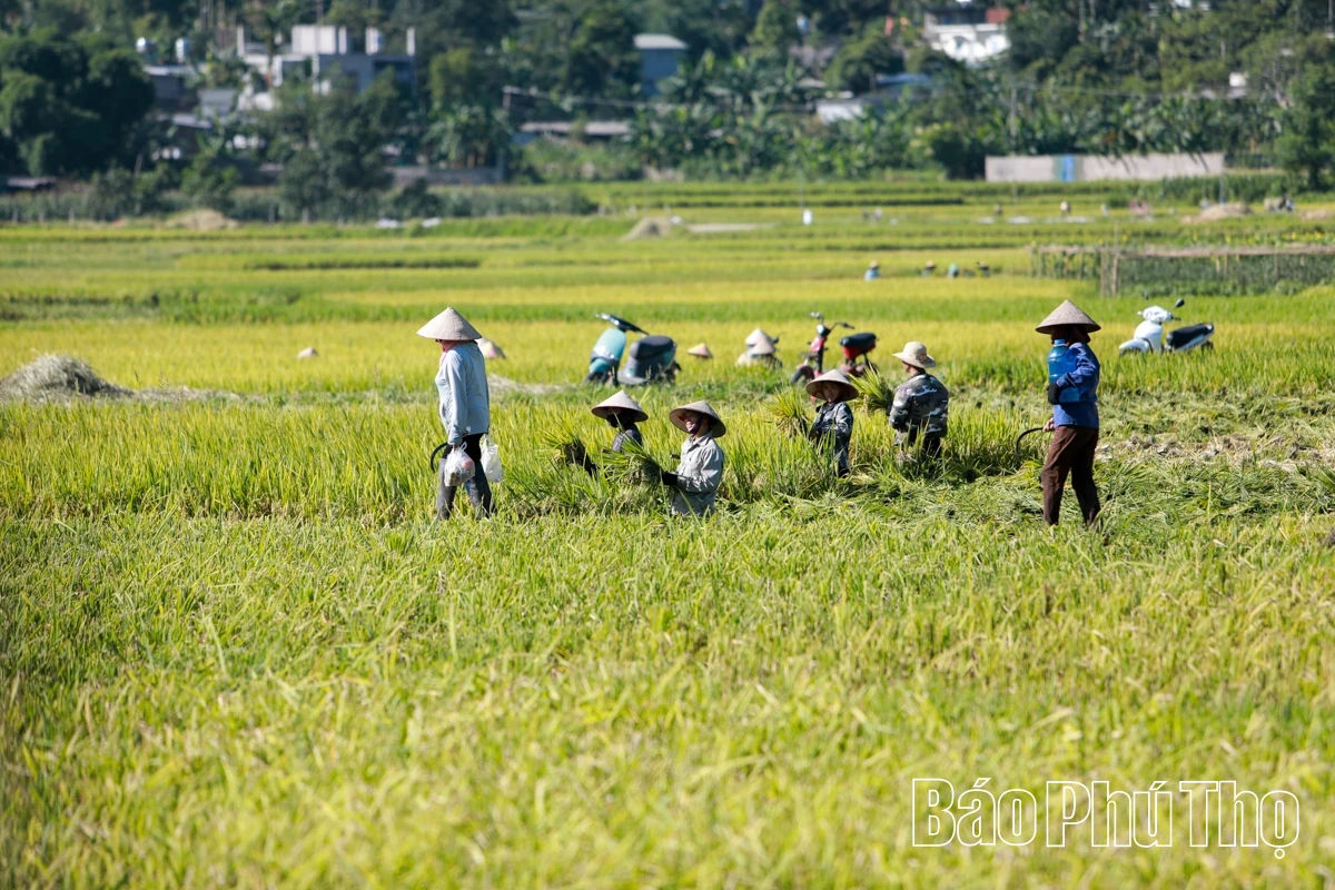 Vất vả mưu sinh mùa nắng nóng