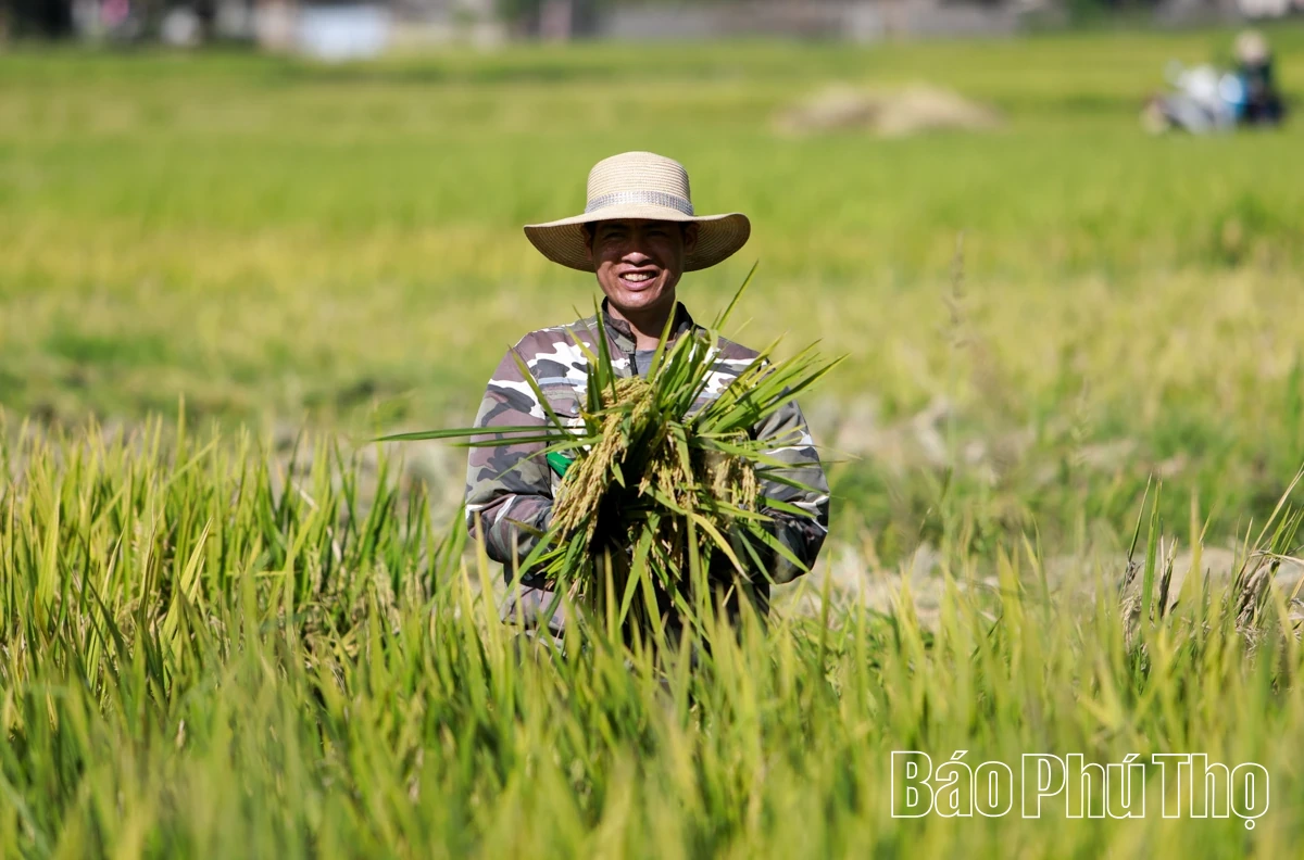 Vất vả mưu sinh mùa nắng nóng