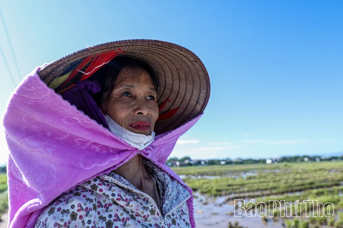 Vất vả mưu sinh mùa nắng nóng