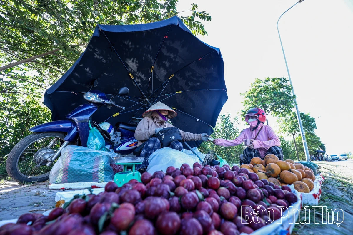 Vất vả mưu sinh mùa nắng nóng
