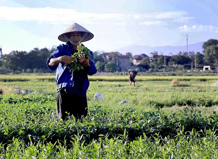 Thời tiết ngày 28/5: Bắc Bộ nắng nóng trước khi đón mưa dông, Nam Bộ mưa to cục bộ