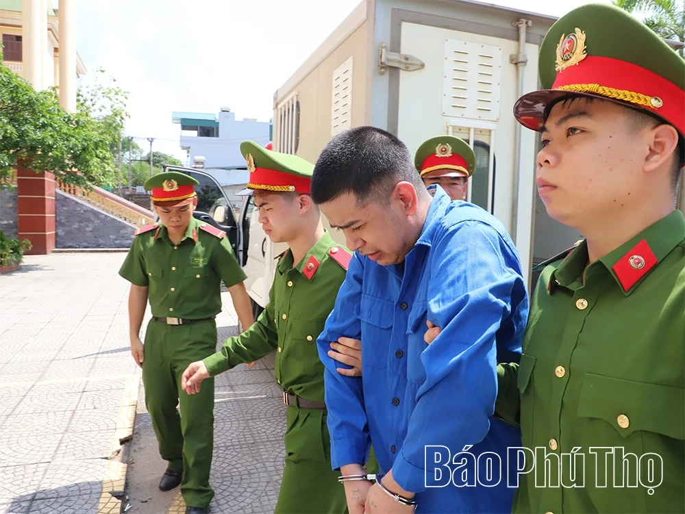 7 năm tù cho bị cáo dùng điện mưu sát mẹ ruột