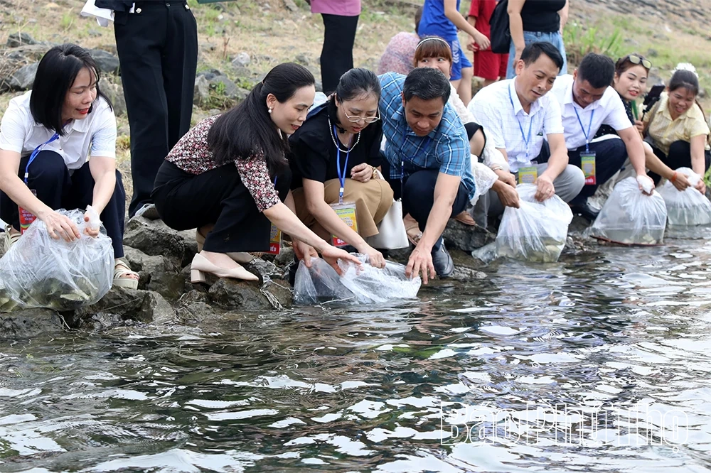 Lung linh đêm hội bên dòng Đà Giang