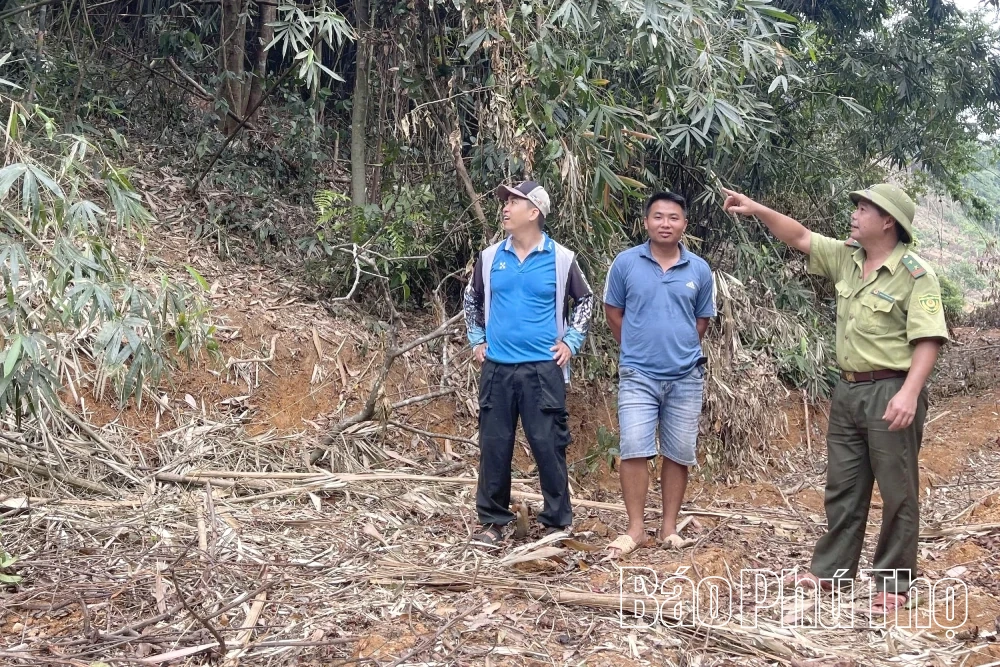 Giữ màu xanh những cánh rừng Đà Bắc