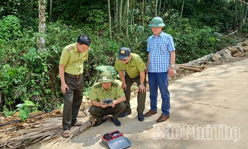Giữ màu xanh những cánh rừng Đà Bắc