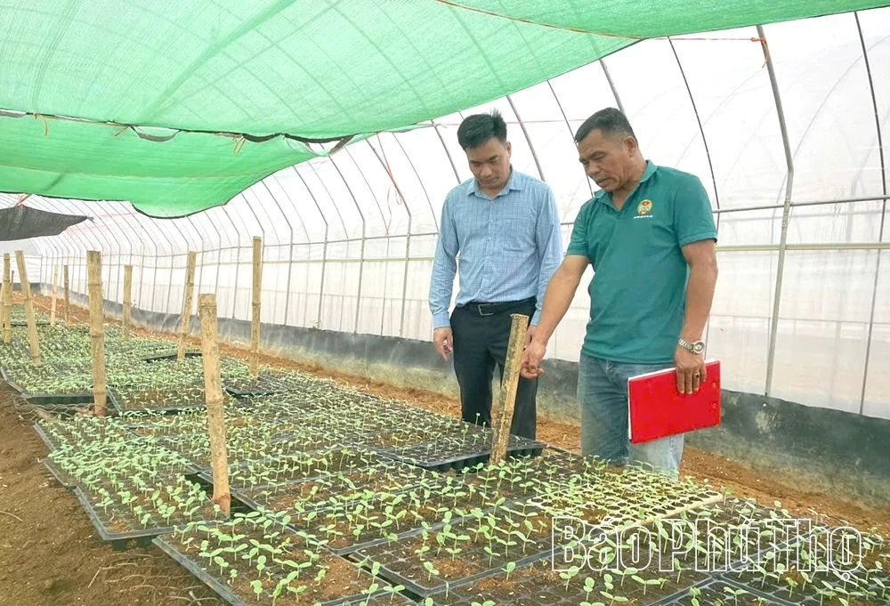 Đà Bắc khơi thông nguồn lực, tạo động lực tăng trưởng mới