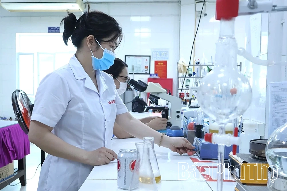Tạo việc làm bền vững cho lao động nông thôn