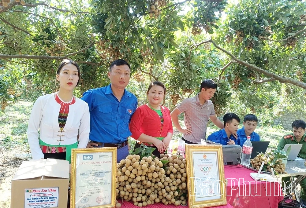 Nỗ lực đưa sản phẩm OCOP lên sàn