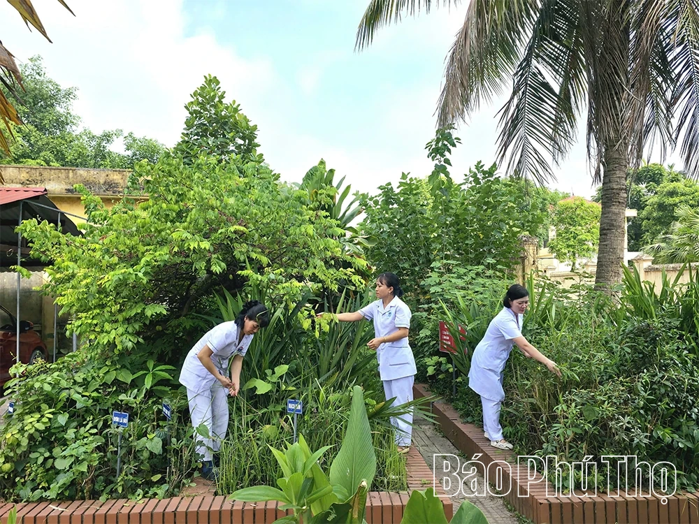 Trạm Y tế xã Vĩnh Phú - địa chỉ chăm sóc sức khỏe tin cậy của người dân