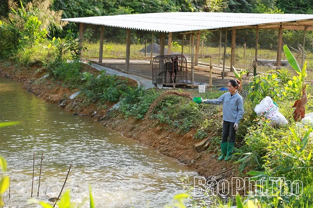 Ly hương để trở về