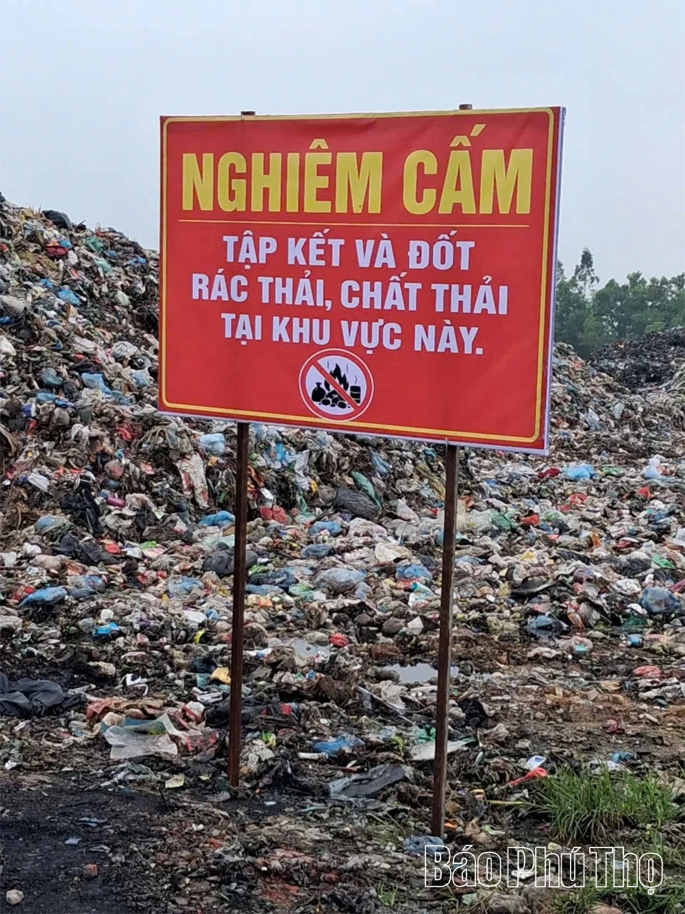Xử lý ô nhiễm tại bãi tập kết rác thải sinh hoạt Đồng Lợ
