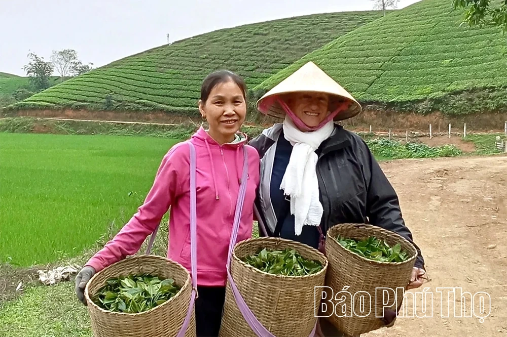 Giữ chân du khách từ “gốc” văn hoá bản địa