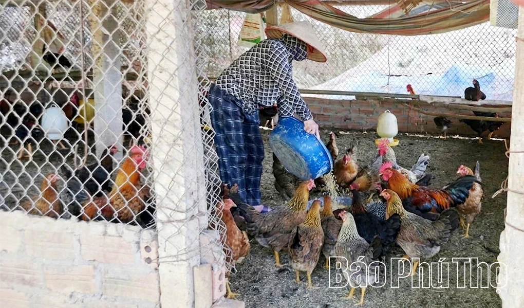 Nguồn vốn chính sách đồng hành cùng khát vọng vươn lên