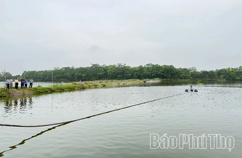 Khảo sát mô hình chăn nuôi, thủy sản phục vụ mục tiêu tăng trưởng ngành nông nghiệp