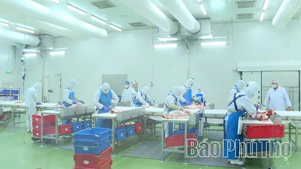 Khảo sát mô hình chăn nuôi, thủy sản phục vụ mục tiêu tăng trưởng ngành nông nghiệp