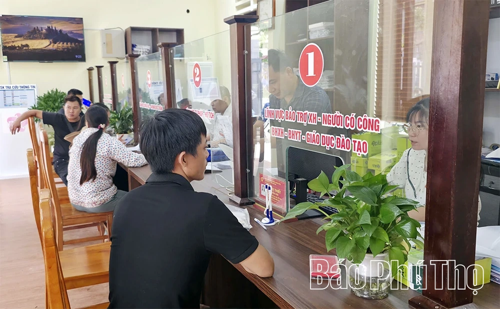 Đất rừng khơi mạch tiềm năng
